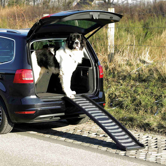 Het kopen van een hondenloopplank