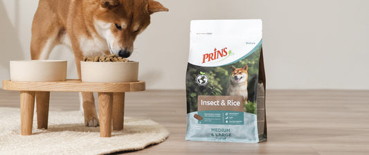 NIEUW: Hondenvoer met insecten