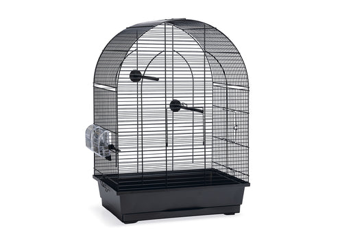 BZ VOGELKOOI LUCIE FANETTE ZWT