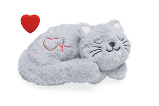 BZ KITTEN KNUFFEL HEARTBEAT PUR 23