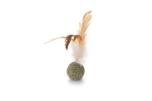 BZ CATNIP BAL MET VEREN 12