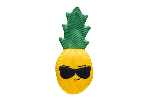 BZ MESH ANANAS ANNE GL 26X11X6