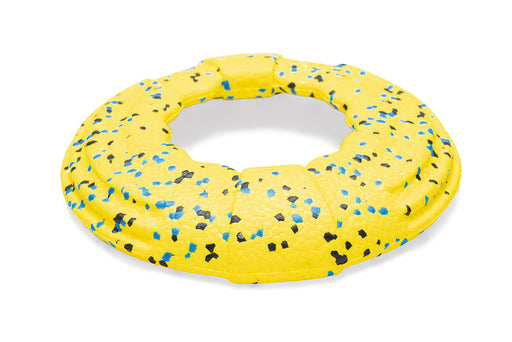 BZ FETCH FOAM H FRISBEE GISA GL 24