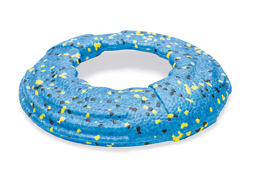 BZ FETCH FOAM H FRISBEE BLW GISA 24