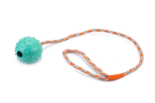 BZ RUBBER BAL MET BEL+KOORD MINT 60