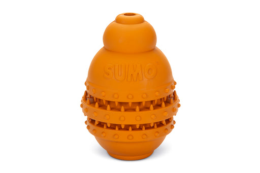 BZ SUMO PLAY DENTAL L ORA 10X10X15