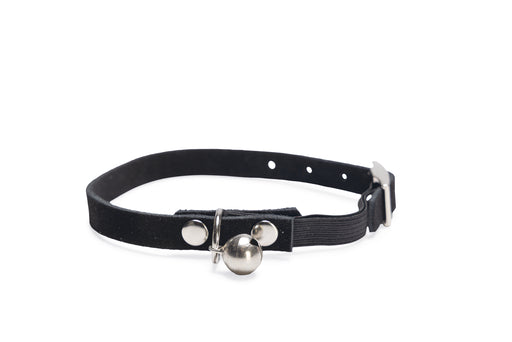 BZ KATTENBANDJE SUEDE ZWT 24-29x1