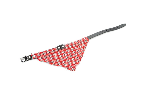 BZ LEER HALSBAND+DOEKJE ZWT 52