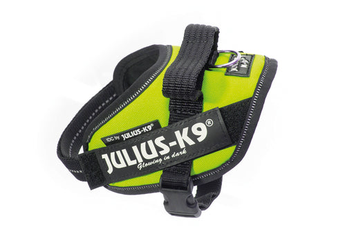 K9 IDC POWER MINI MINI NEONGRN40-53