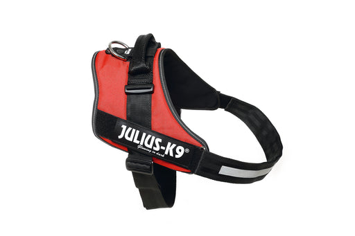 K9 IDC POWERTUIG MAAT 4 RD 96-138
