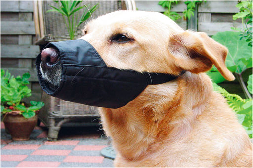 BZ VEILIGHEIDSMUILBAND M 14