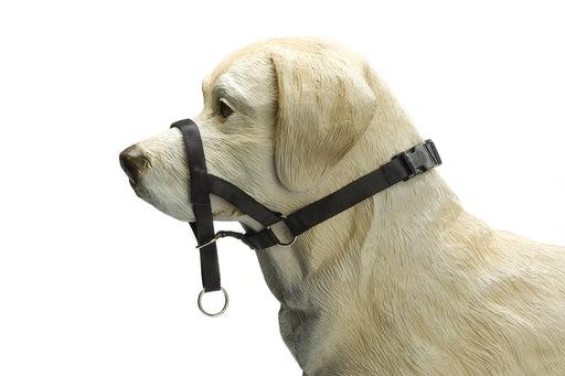 BZ DOG CONTROL S ZWT