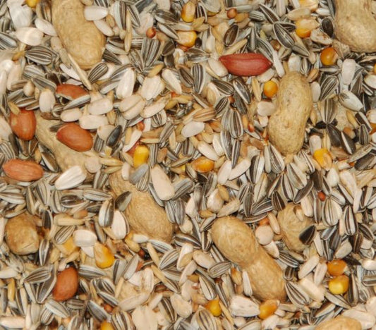 Papagaaienvoer met pinda's