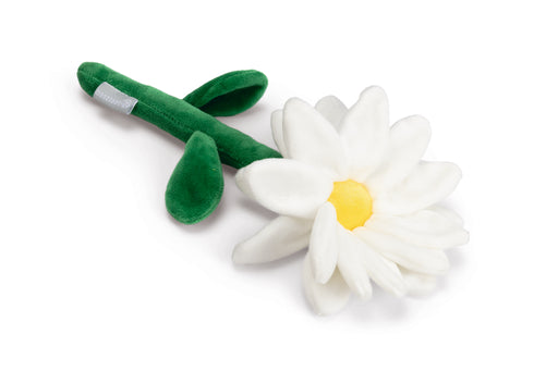 BZ HSP LENTE BLOEM DAISY WIT 30