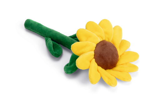 BZ HSP LENTE ZONNEBLOEM SUNNY GL 30