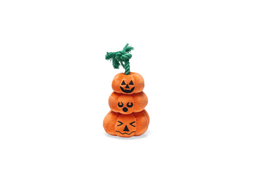 BZ HALLOWEEN POMPOENEN TOUW ORA 25