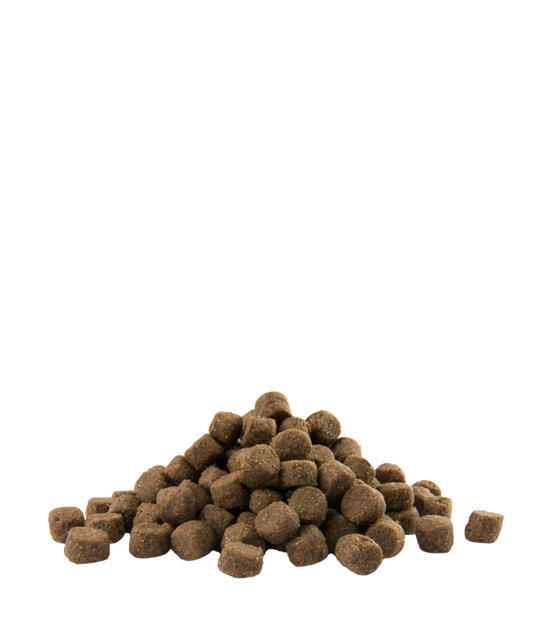 Opti Life Adult Skin Care Medium & Maxi (Salmon & rice)