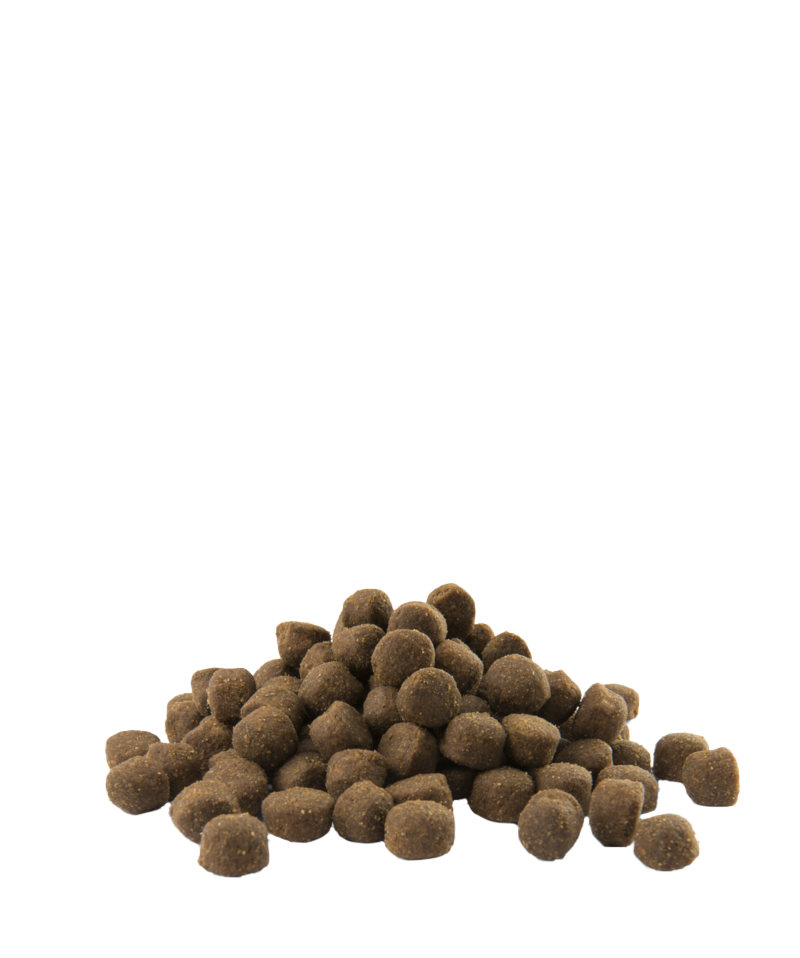 Opti Life Adult Active All Breeds