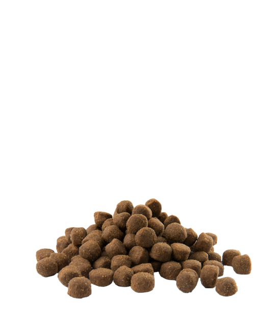 Opti Life Adult Active All Breeds