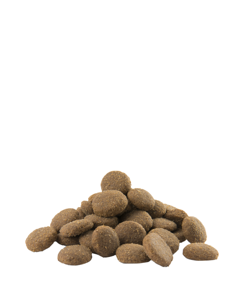 Opti Life Adult Maxi