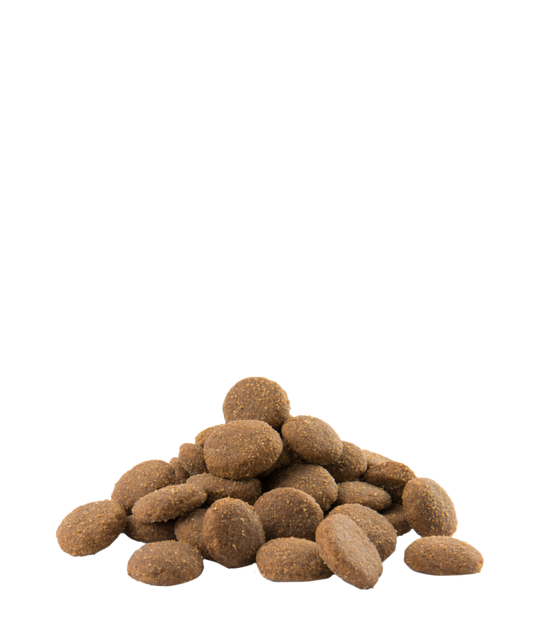 Opti Life Adult Maxi