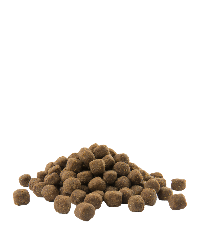 Opti Life Adult Medium