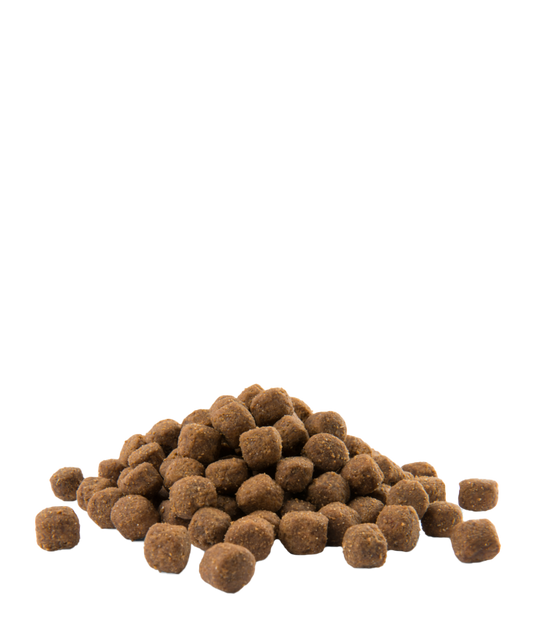 Opti Life Adult Medium