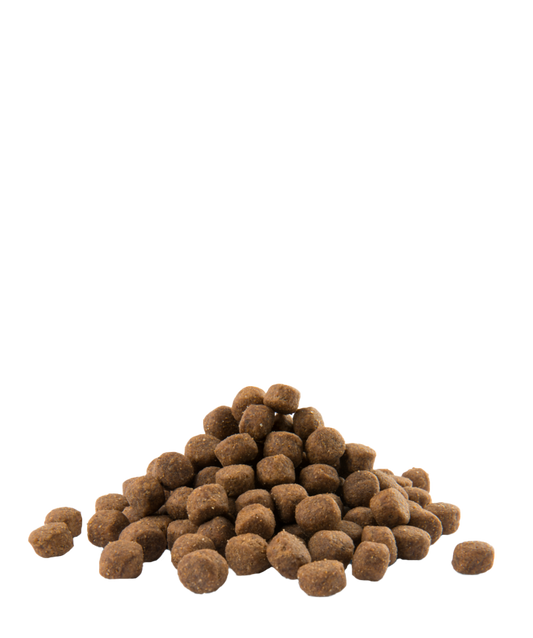 Opti Life Puppy Maxi