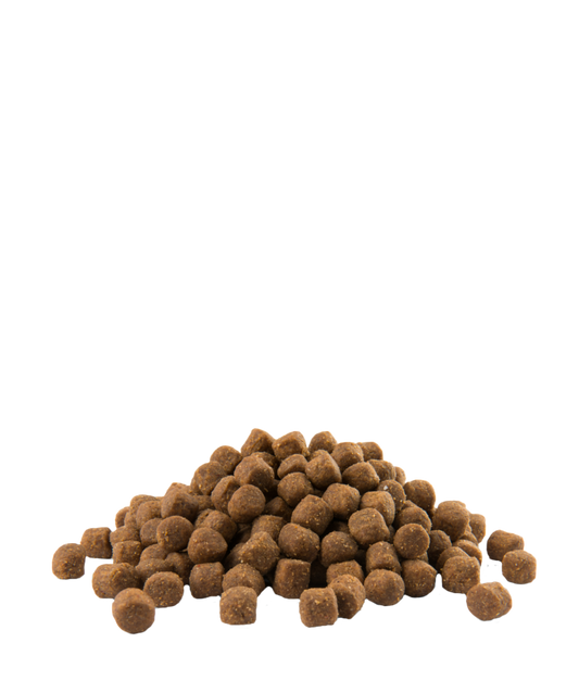 Opti Life Puppy Medium