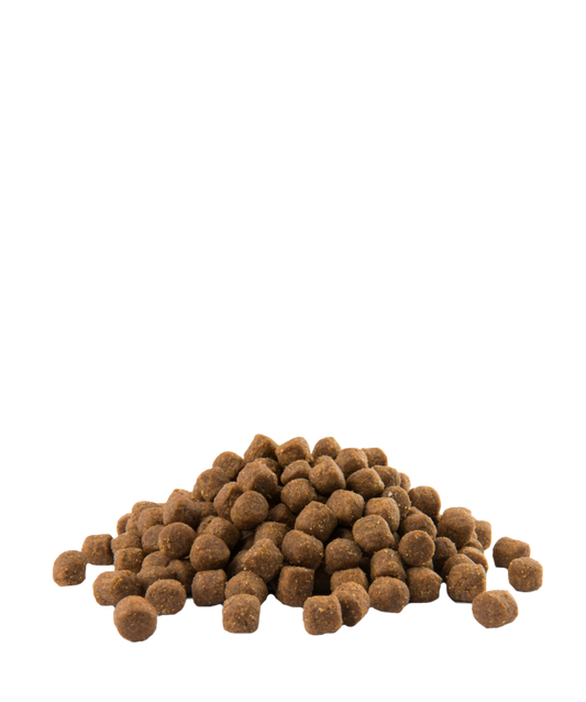 Opti Life Puppy Sensitive Salmon & Rice