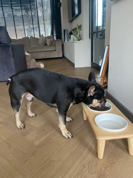 DESIGNED BY LOTTE HOUTEN DINERSET HOND DJEHA 40X21X15