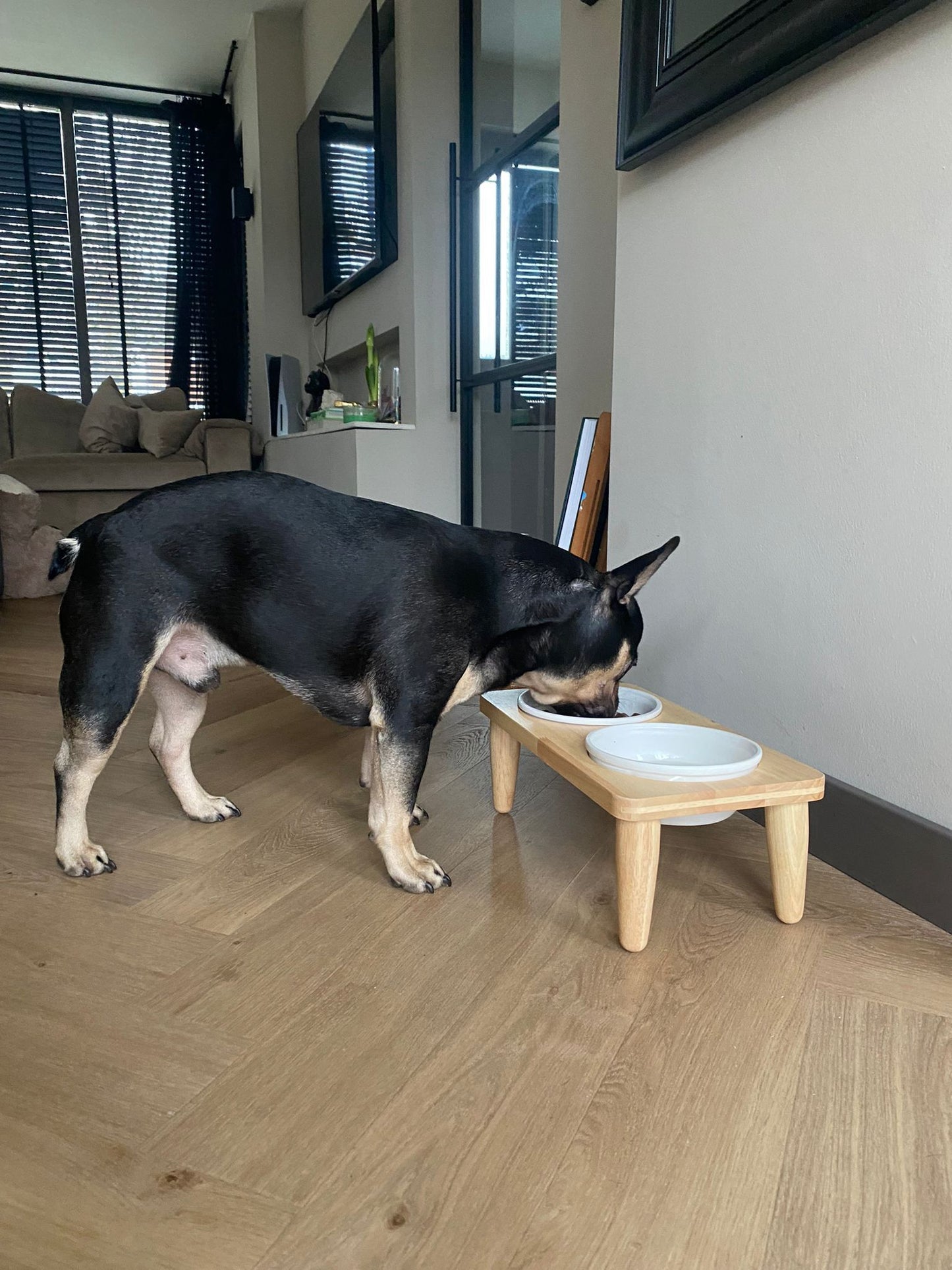 DESIGNED BY LOTTE HOUTEN DINERSET HOND DJEHA 40X21X15