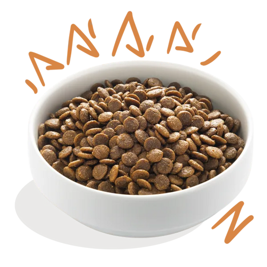 ADULT Verse scharrelkip