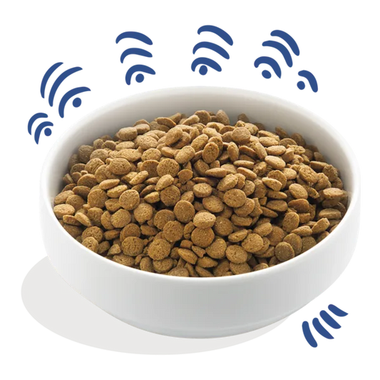 ADULT Verse Noorse zalm