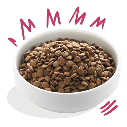 ADULT Vers hert & scharreleend