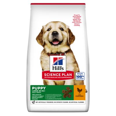 Hills Science Plan Puppy Large Breed Chicken