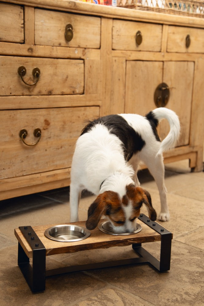 DESIGNED BY LOTTE HOUTEN DINERSET KARINTO
