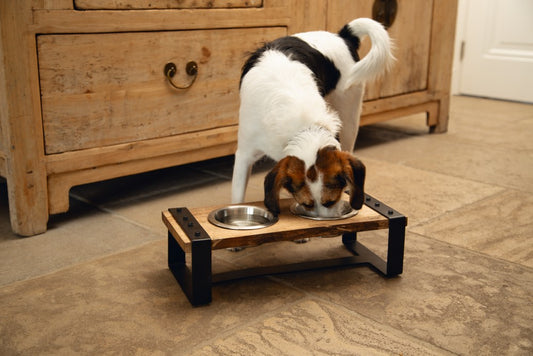 DESIGNED BY LOTTE HOUTEN DINERSET KARINTO