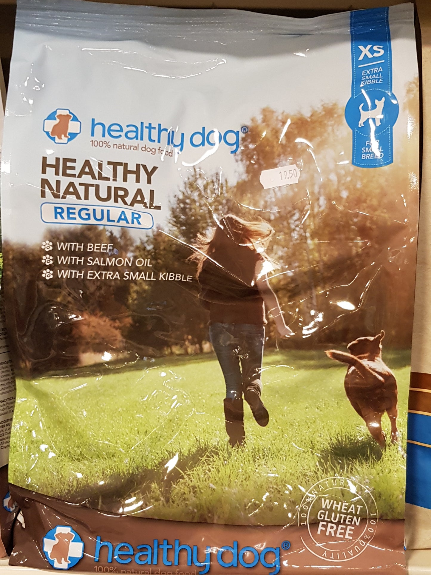 Healthy Dog Regular Small Breed