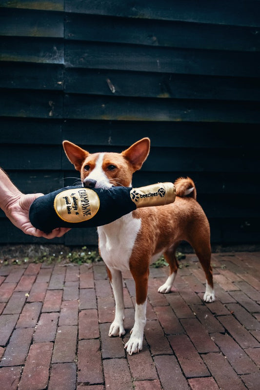 Champagnefles Pluche Zwart/Goud