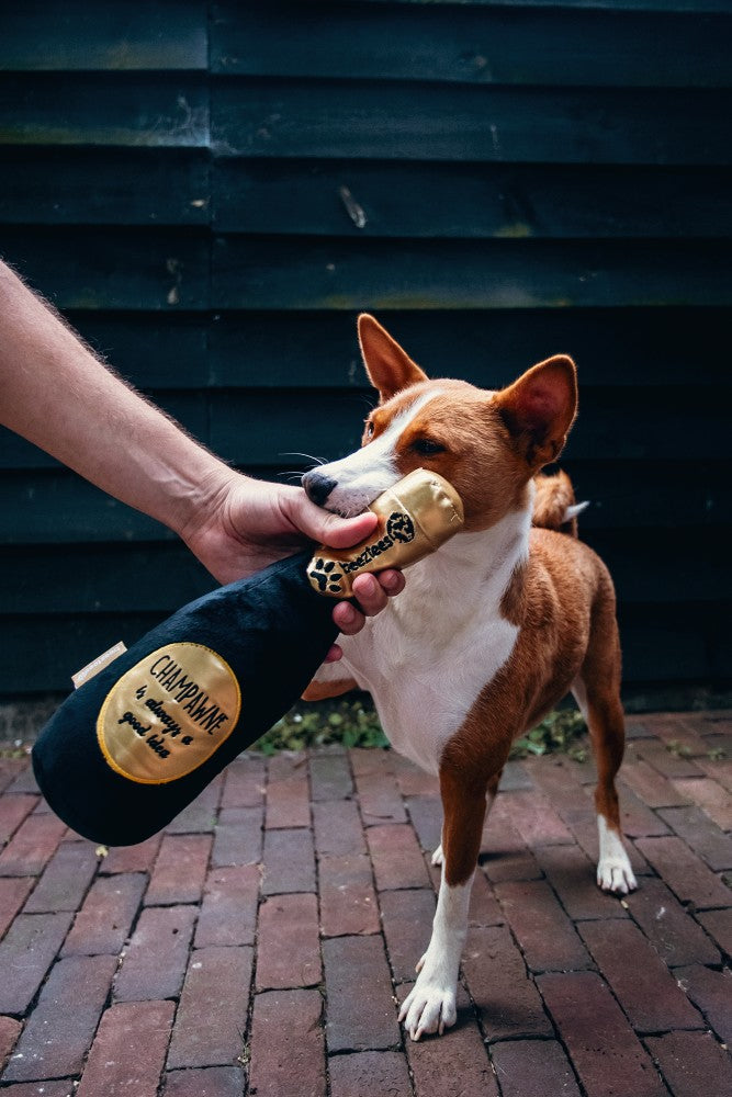 Champagnefles Pluche Zwart/Goud