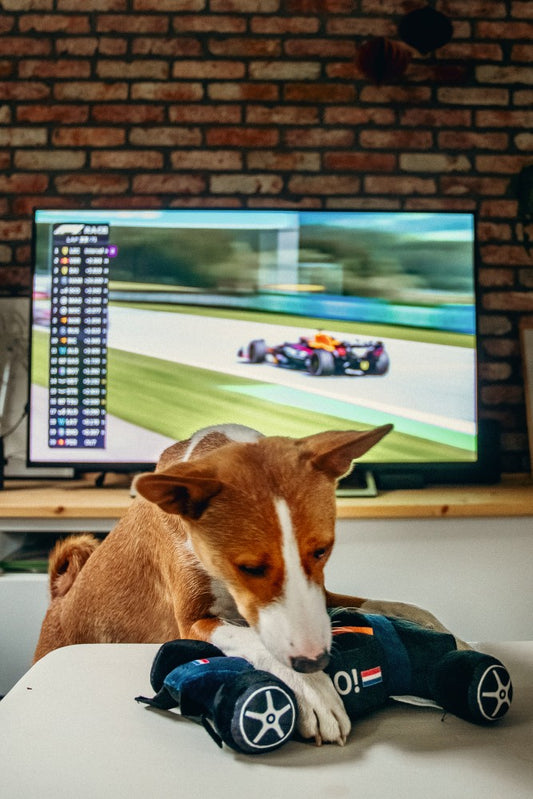 Beeztees Pluche Hondenspeelgoed RACEAUTO GO BLAUW