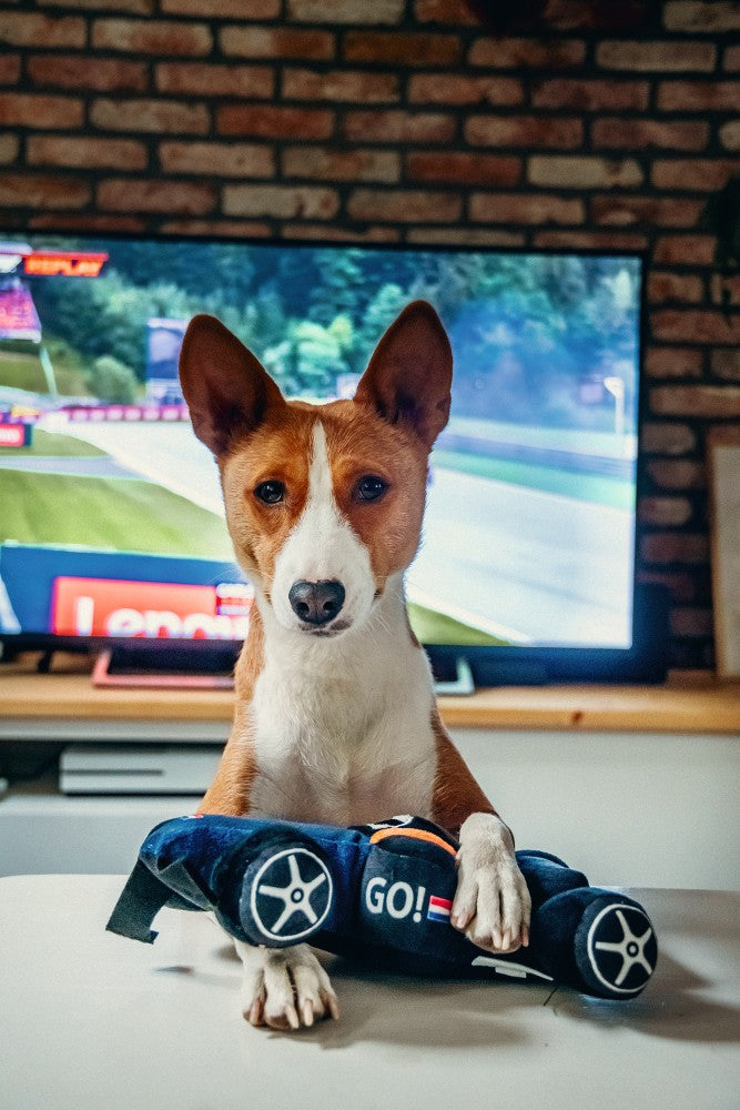 Beeztees Pluche Hondenspeelgoed RACEAUTO GO BLAUW