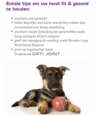 Oropharma Opti Joint Poeder Pot (tegen Atrose, voor soepele gewrichten en gezond kraakbeen)
