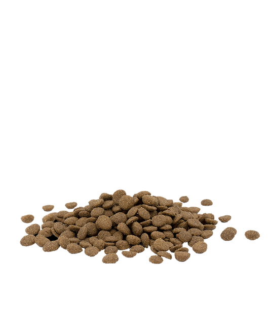 Opti Life Sterilised/Light