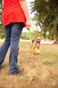 CHUCKIT ULTRA BALL