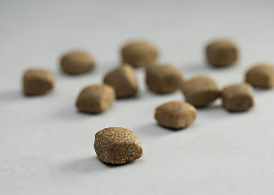 Prins Dieetvoedingen hond Mobility Krokante dieetvoeding voor volwassen honden met gewrichtsproblemen Voor volwassen honden met gewrichtsproblemen ProCare Croque Dieet Mobility is een krokante dieetvoeding speciaal voor volwassen honden met gewrichtsproblemen. Deze volledige dieetvoeding bevat voedingsstoffen die een positieve invloed hebben op de gewrichten en de beweeglijkheid van je hond, en bijdragen aan ee