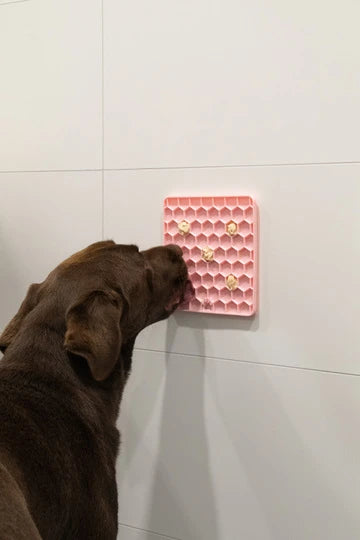 Eat Slow Live Longer Fun & Relax Lick Mat