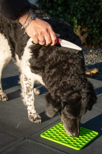 Eat Slow Live Longer Fun & Relax Lick Mat