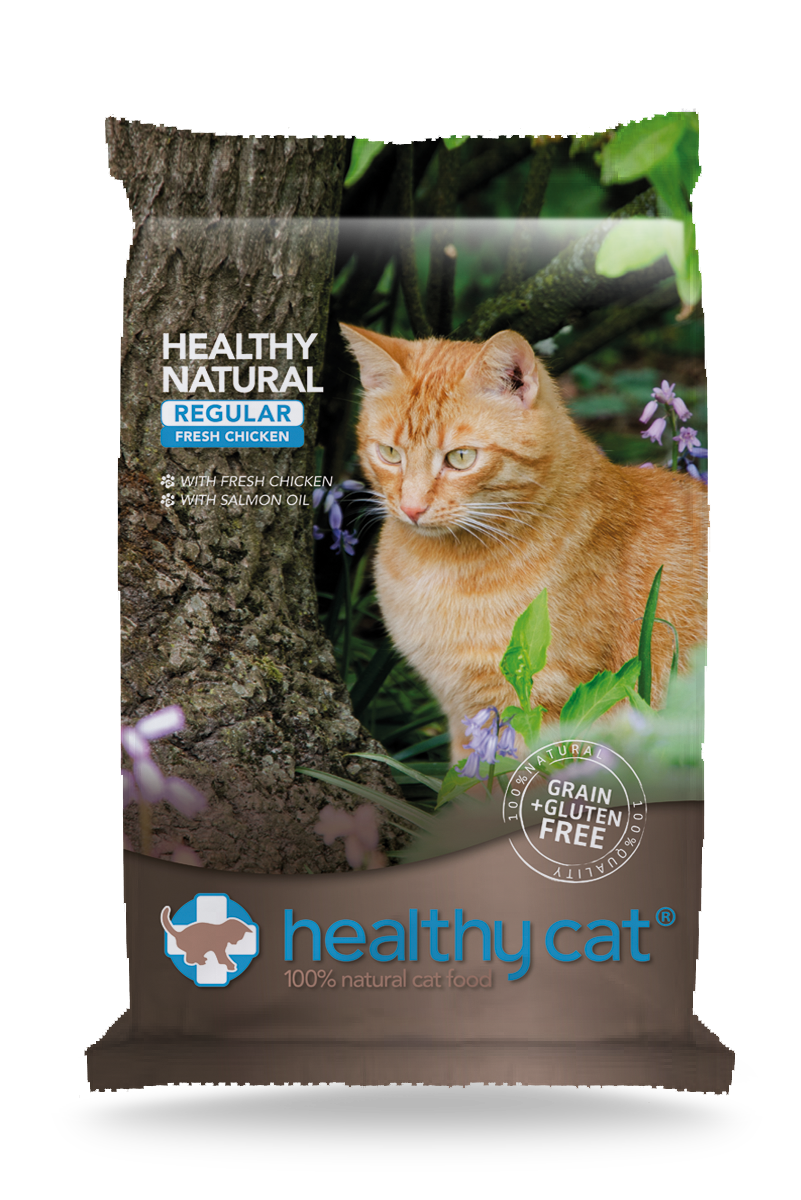 Healthy Cat Regular Chicken